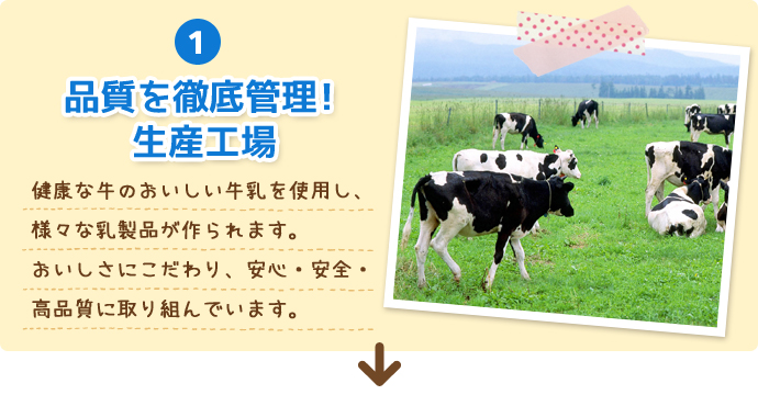 1.品質を徹底管理!生産工場